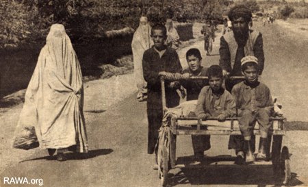 فرار از سگ جنگی بنیادگرایان به جای امن