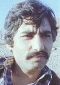 انیس آزاد